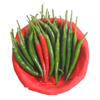 Agni Hot Pepper From Known You Seed (India)-KYI